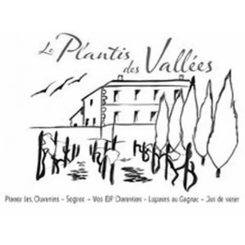 Le Plantis des Vallees